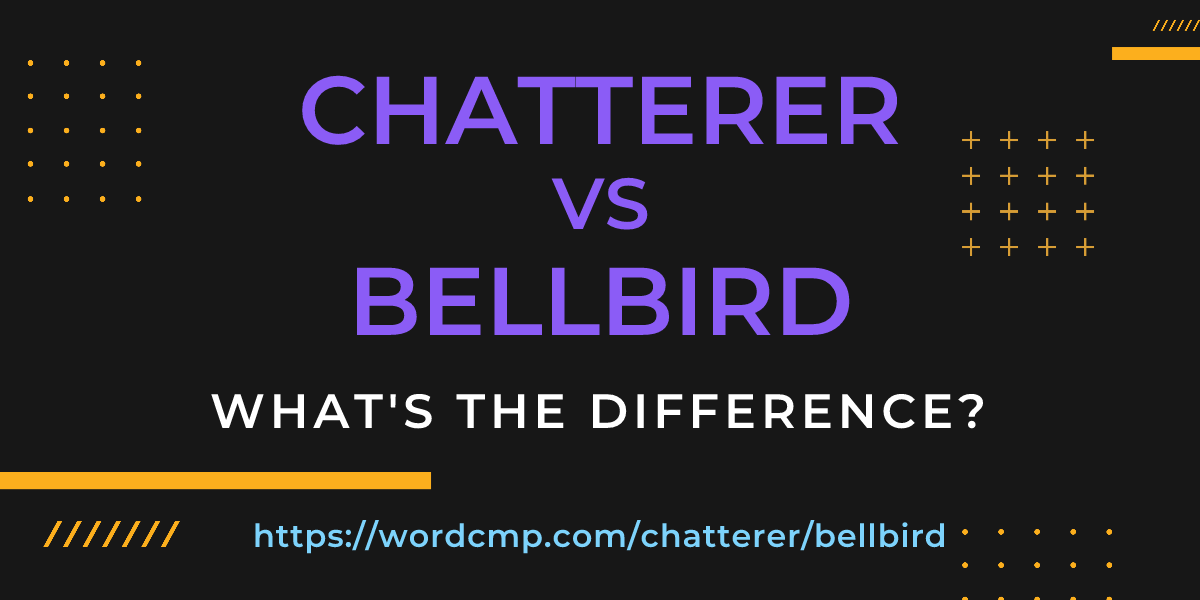 Difference between chatterer and bellbird