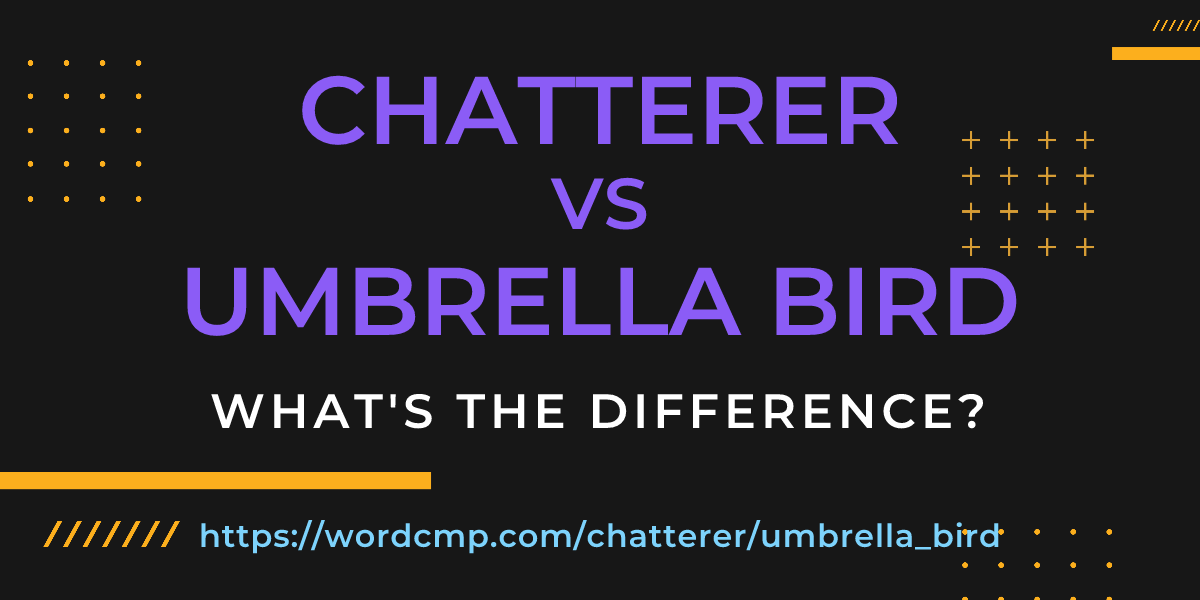 Difference between chatterer and umbrella bird