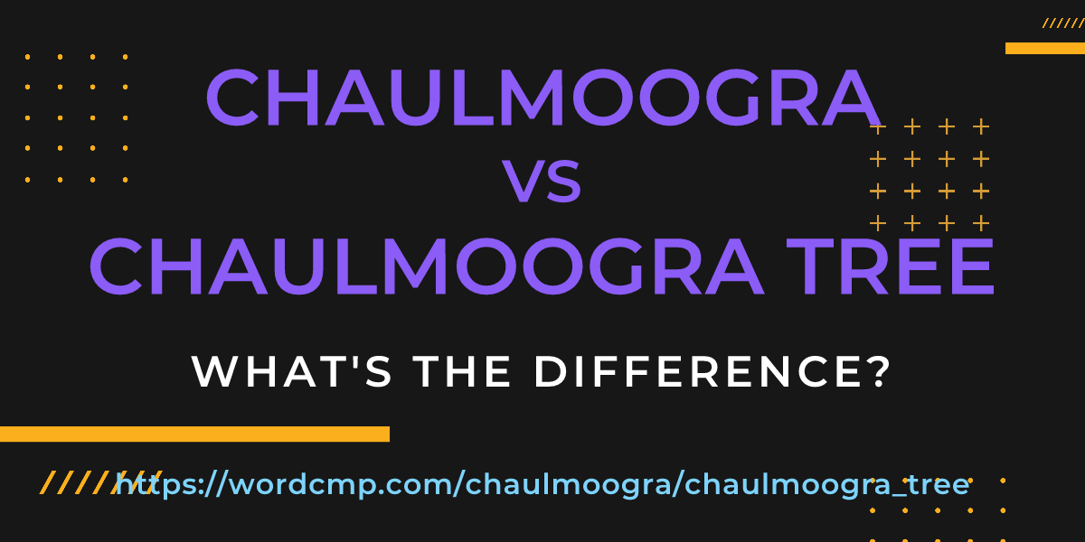 Difference between chaulmoogra and chaulmoogra tree