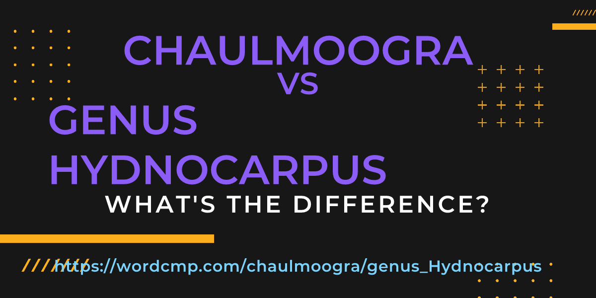Difference between chaulmoogra and genus Hydnocarpus