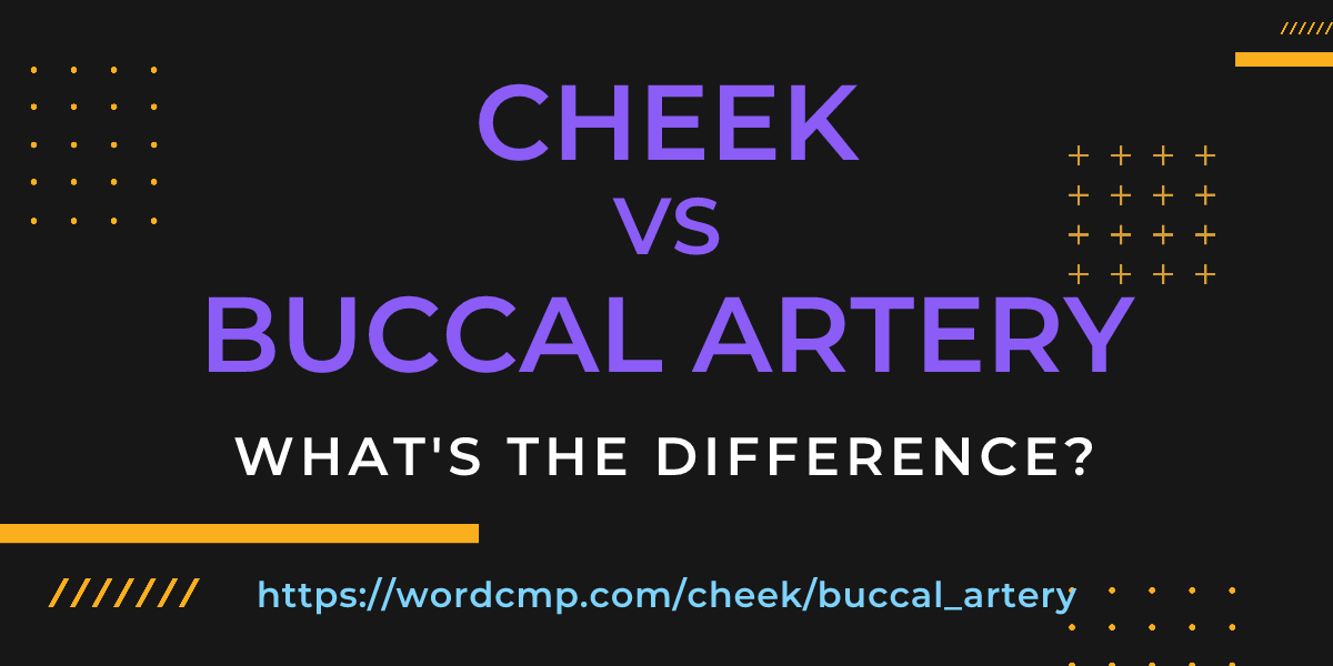 Difference between cheek and buccal artery