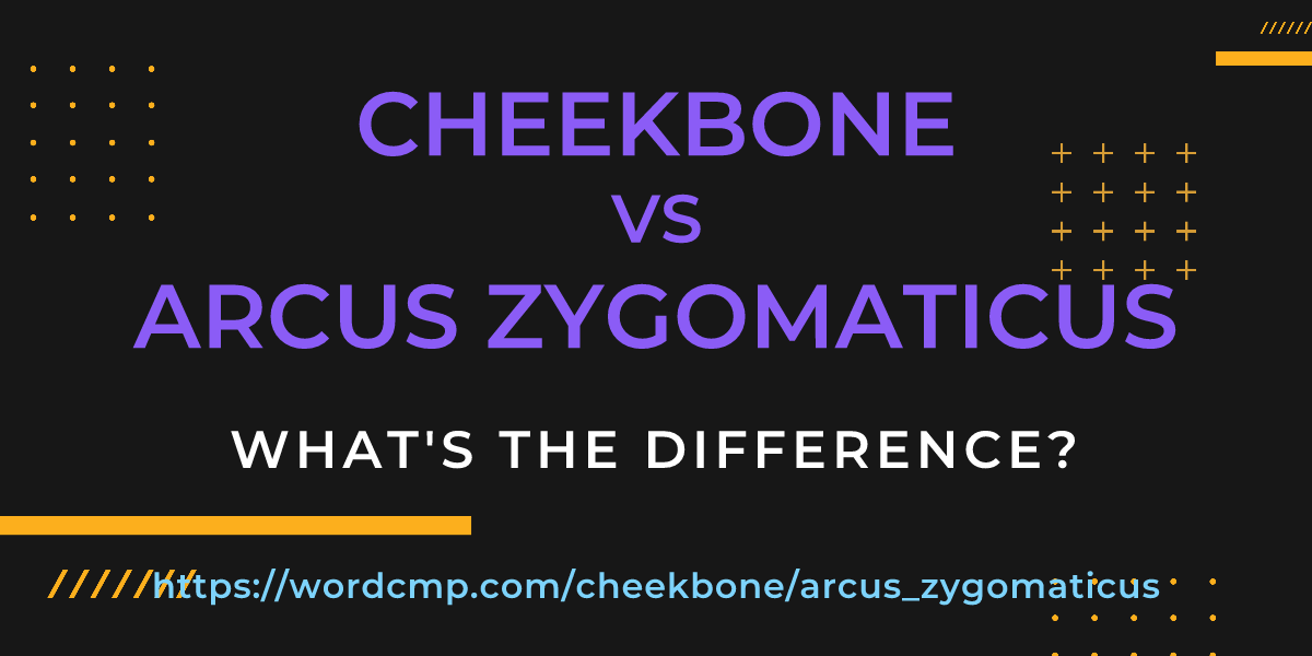 Difference between cheekbone and arcus zygomaticus