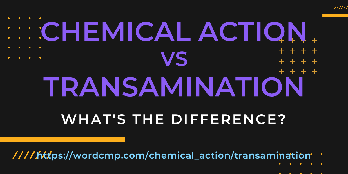 Difference between chemical action and transamination
