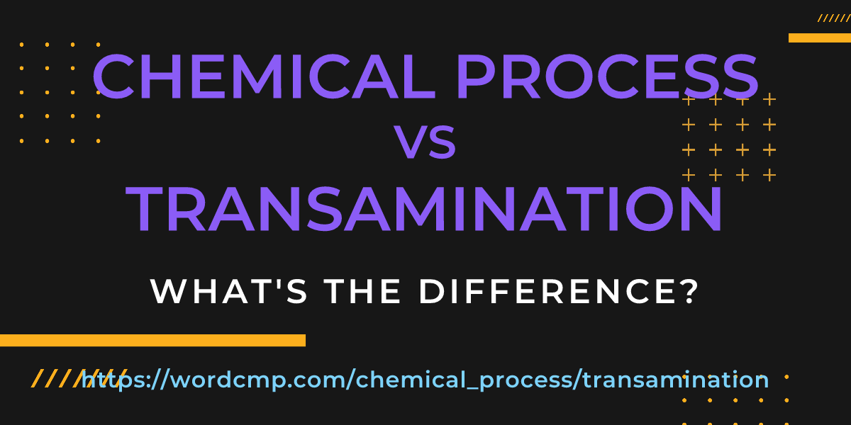 Difference between chemical process and transamination
