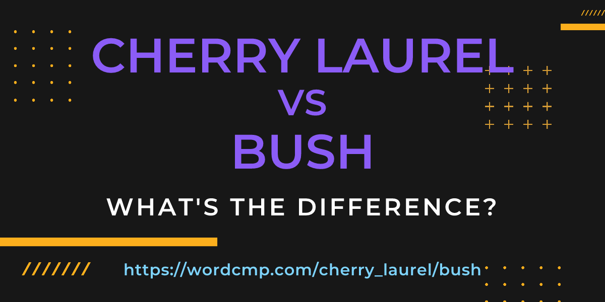 Difference between cherry laurel and bush