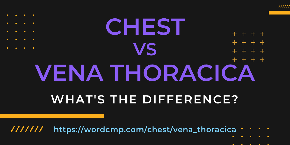 Difference between chest and vena thoracica