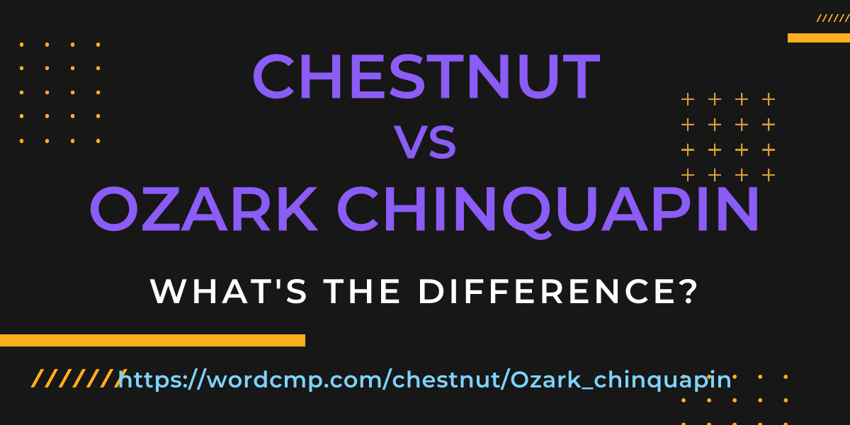 Difference between chestnut and Ozark chinquapin