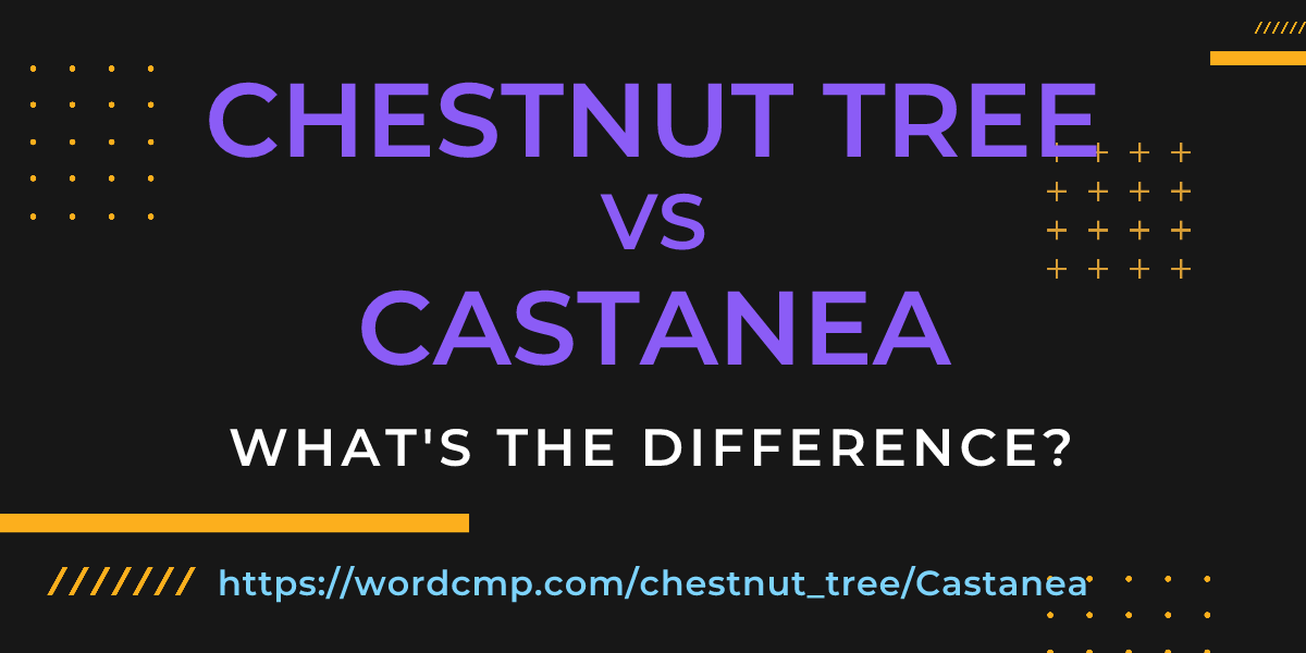 Difference between chestnut tree and Castanea