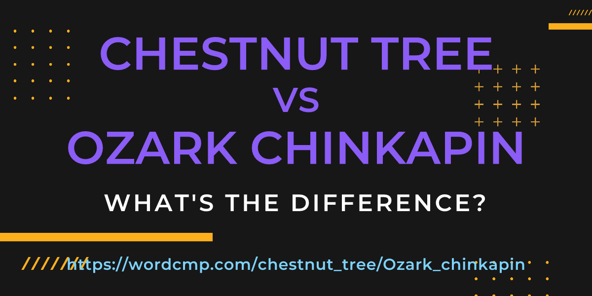 Difference between chestnut tree and Ozark chinkapin