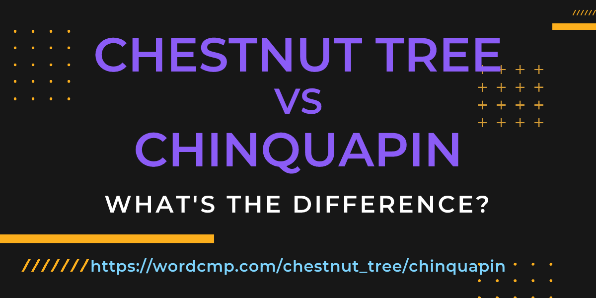 Difference between chestnut tree and chinquapin