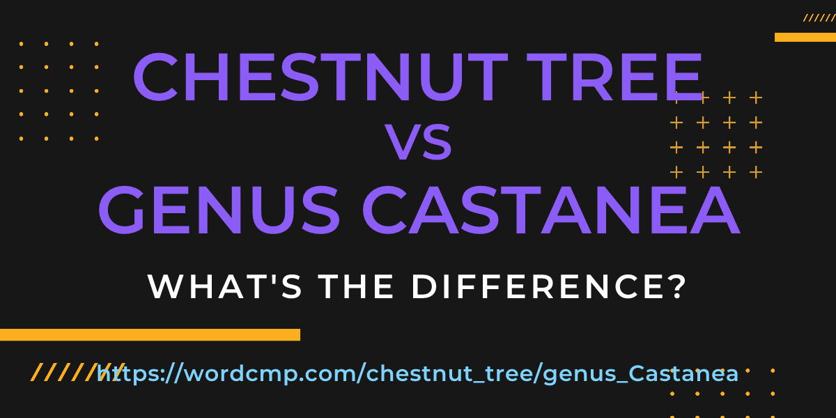 Difference between chestnut tree and genus Castanea