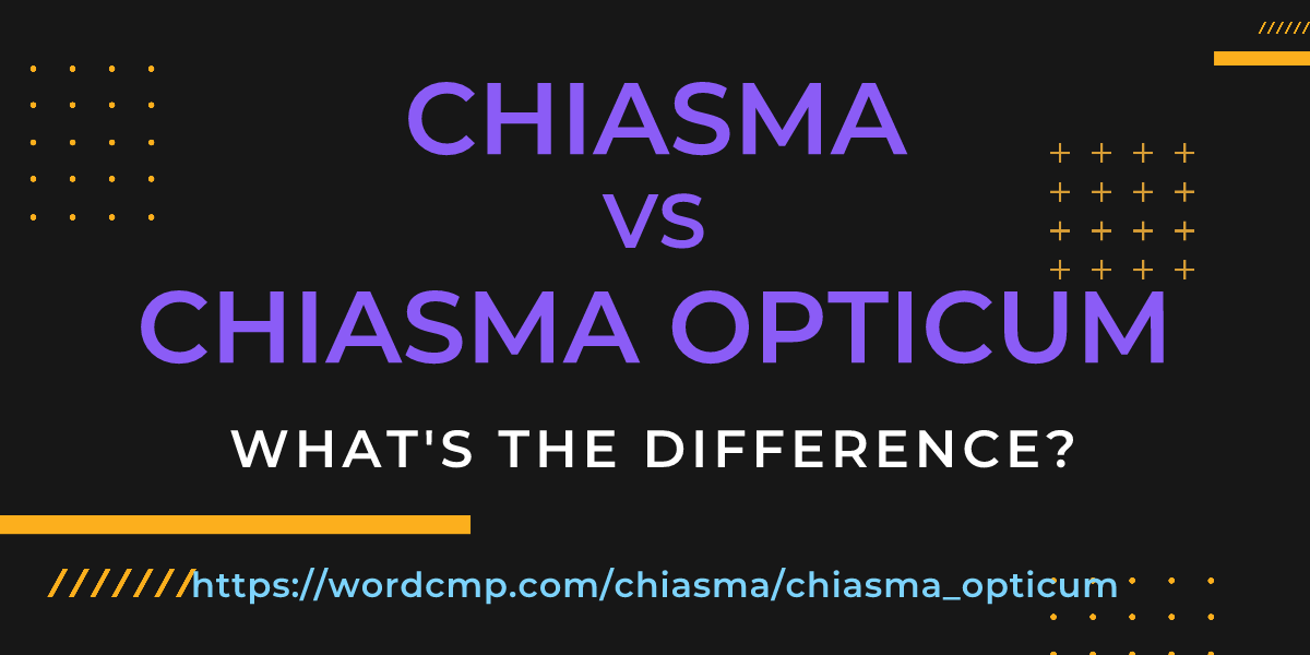 Difference between chiasma and chiasma opticum