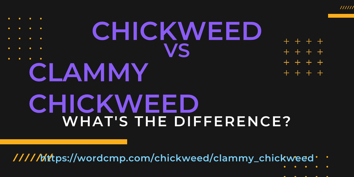 Difference between chickweed and clammy chickweed