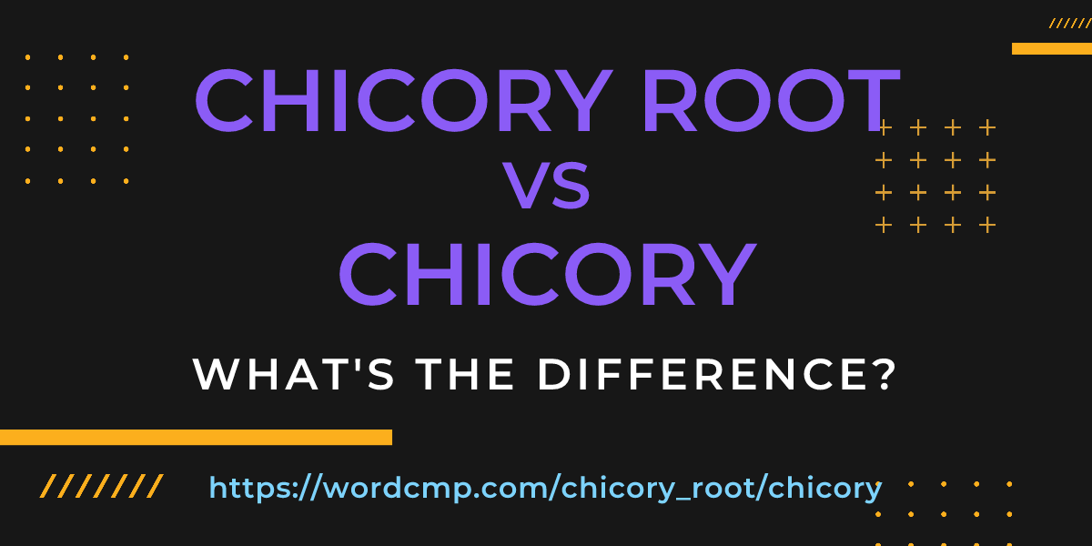 Difference between chicory root and chicory