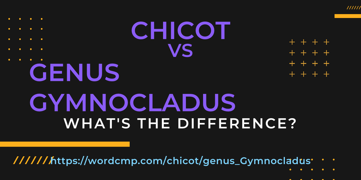 Difference between chicot and genus Gymnocladus