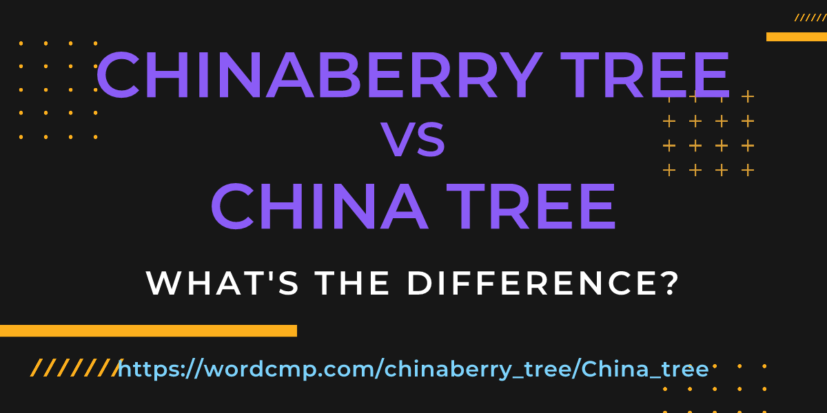Difference between chinaberry tree and China tree