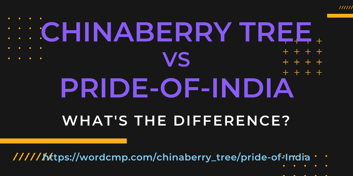 Difference between chinaberry tree and pride-of-India