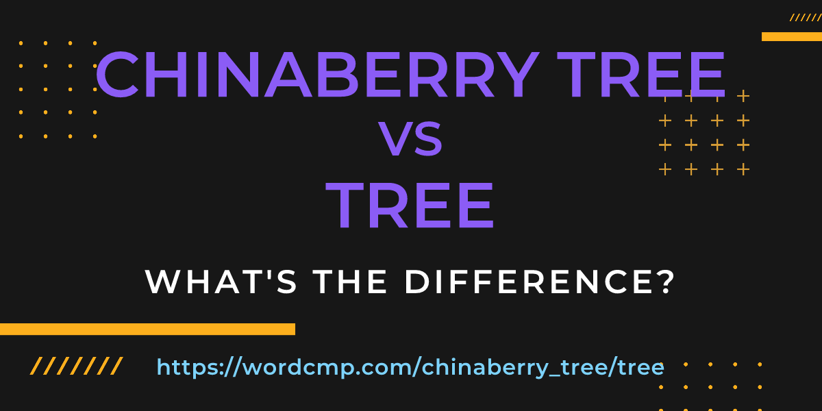 Difference between chinaberry tree and tree