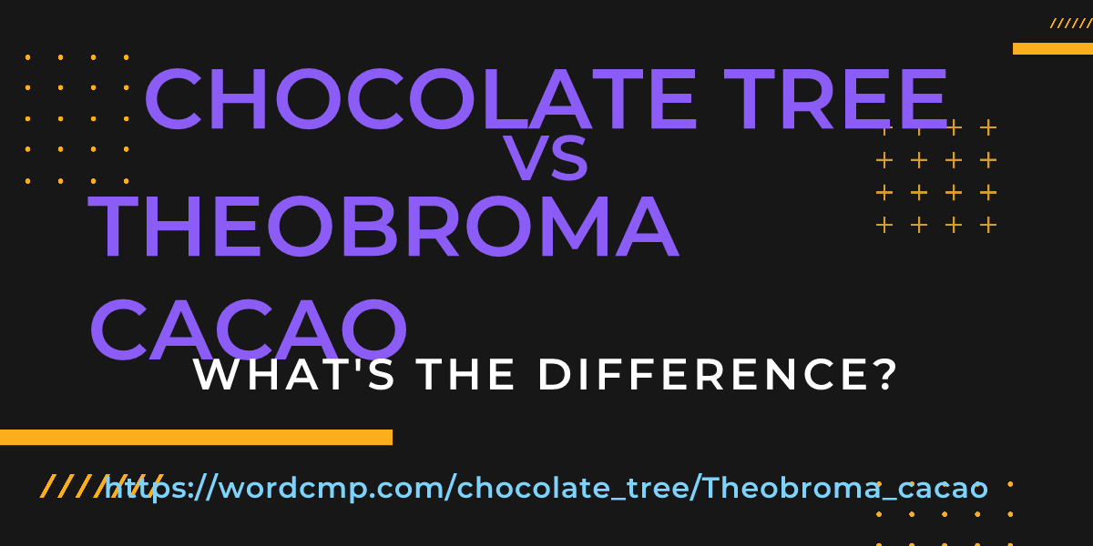 Difference between chocolate tree and Theobroma cacao