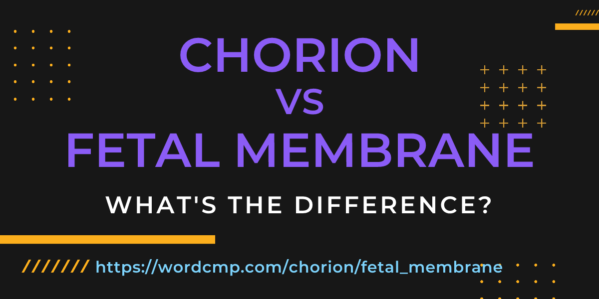 Difference between chorion and fetal membrane