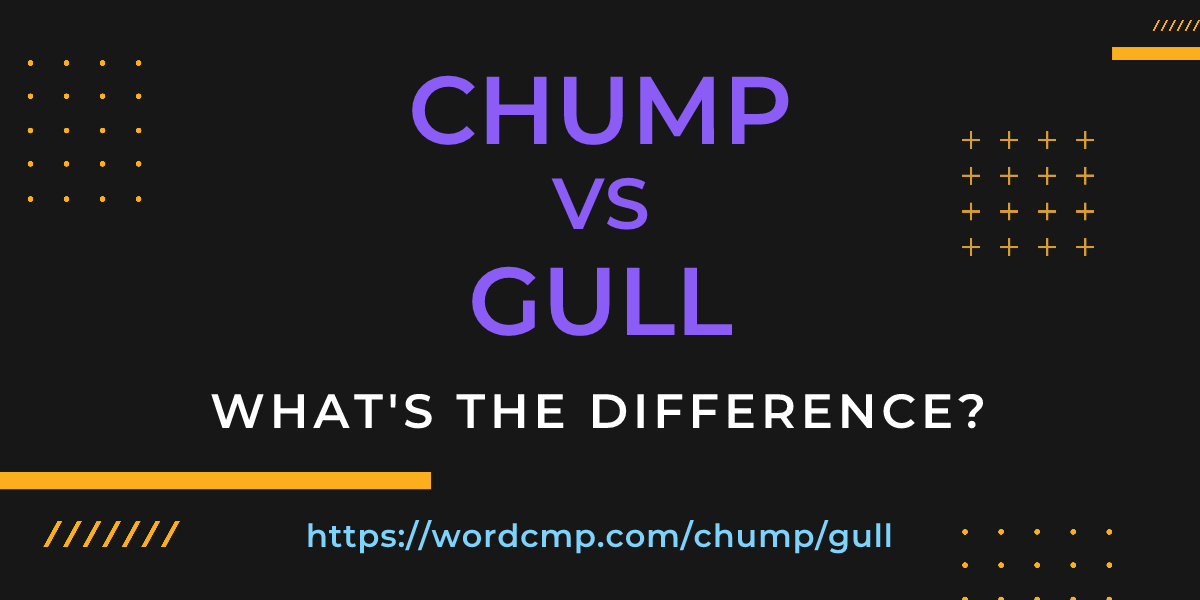 Difference between chump and gull
