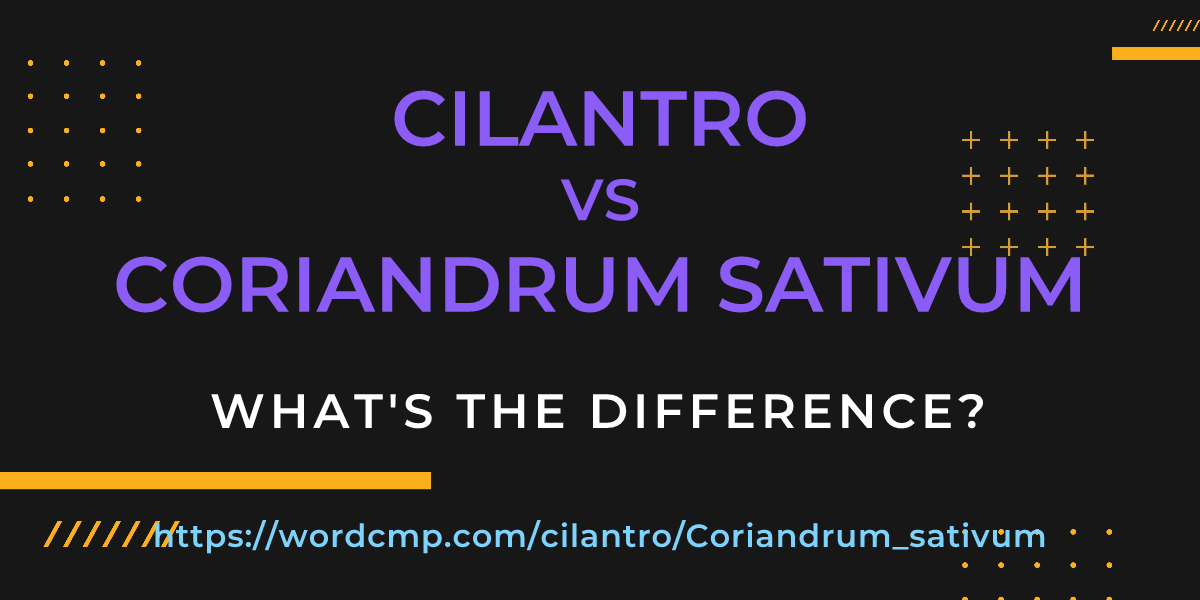 Difference between cilantro and Coriandrum sativum