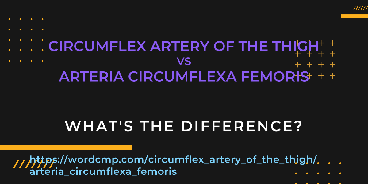 Difference between circumflex artery of the thigh and arteria circumflexa femoris