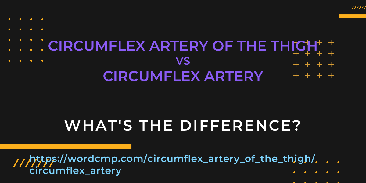 Difference between circumflex artery of the thigh and circumflex artery