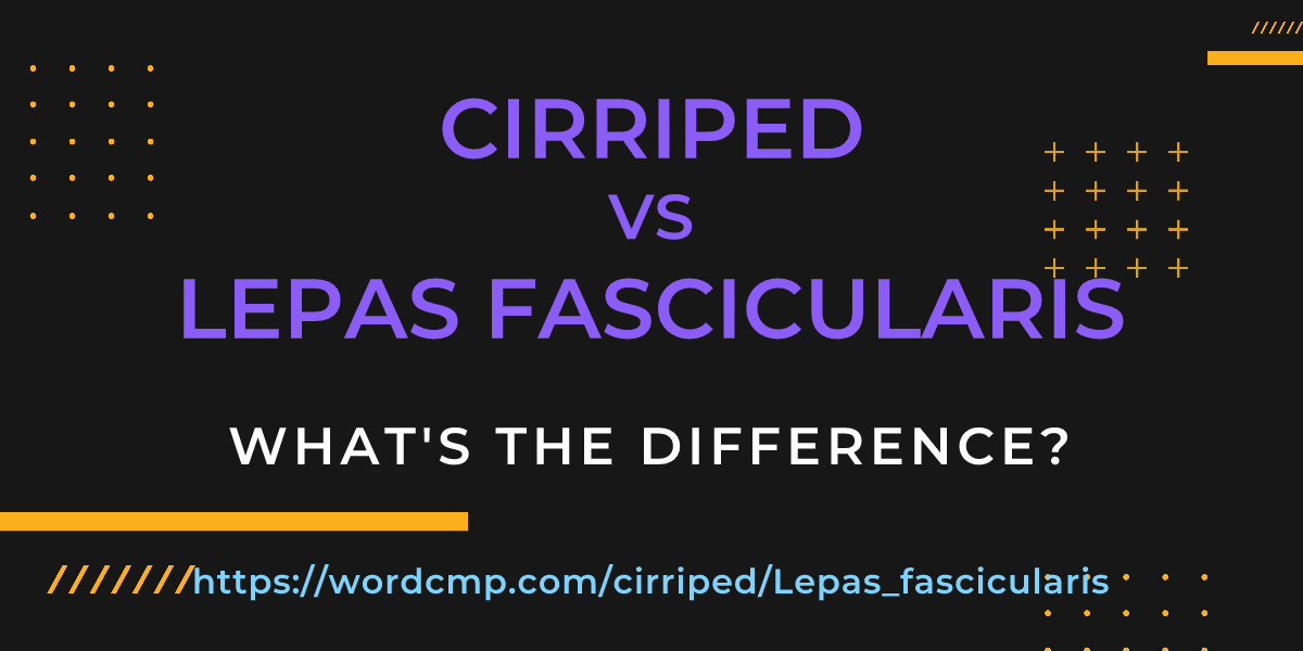 Difference between cirriped and Lepas fascicularis