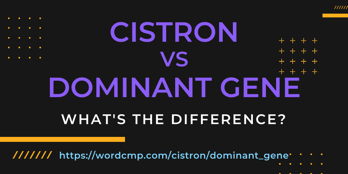 Difference between cistron and dominant gene