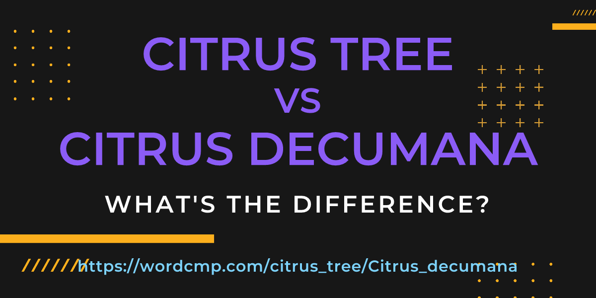 Difference between citrus tree and Citrus decumana