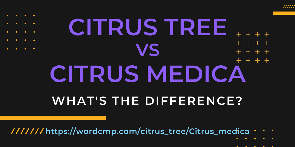 Difference between citrus tree and Citrus medica