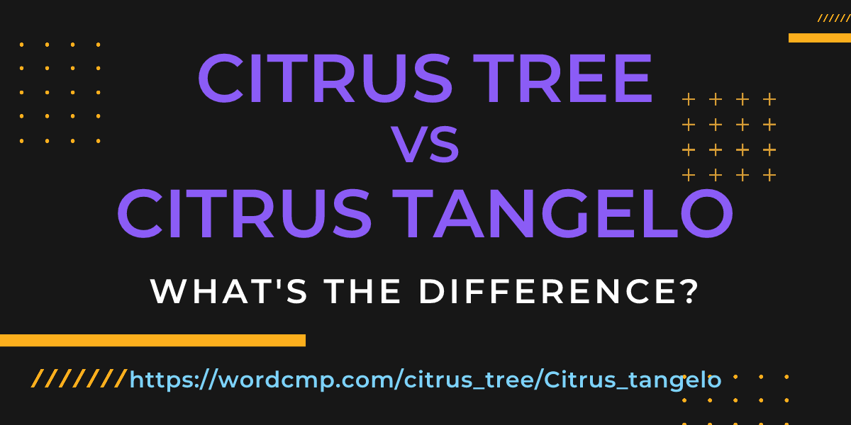 Difference between citrus tree and Citrus tangelo