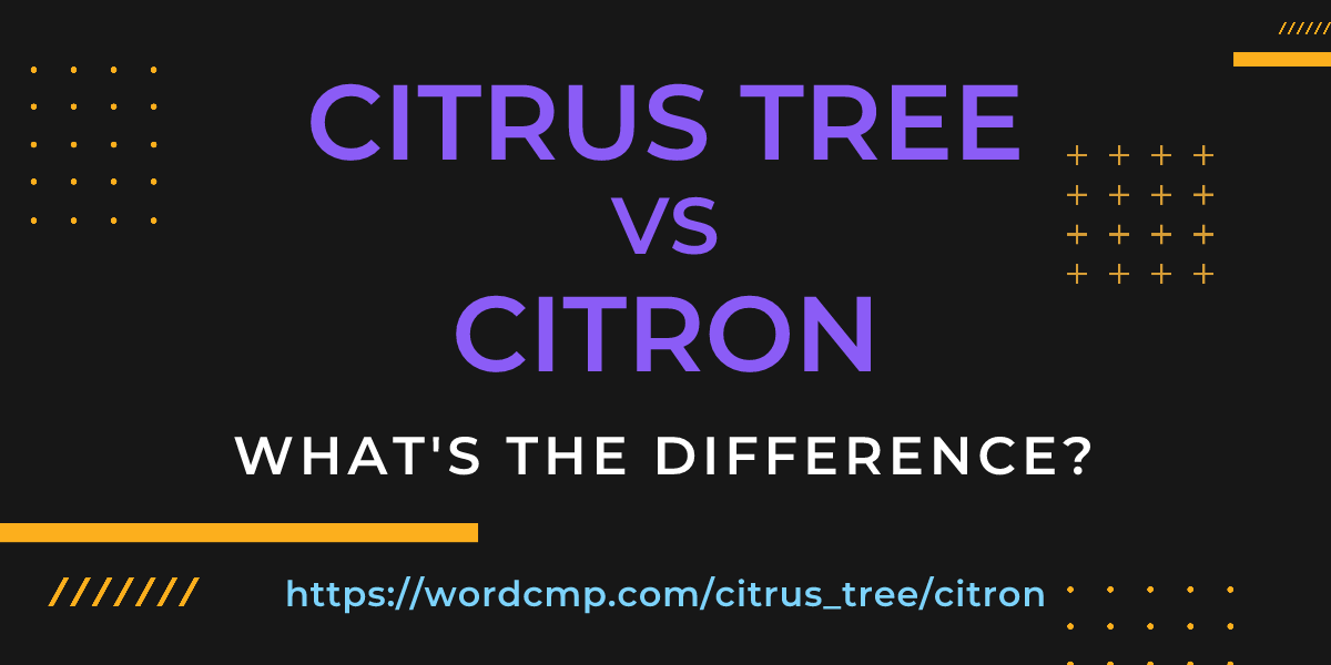 Difference between citrus tree and citron