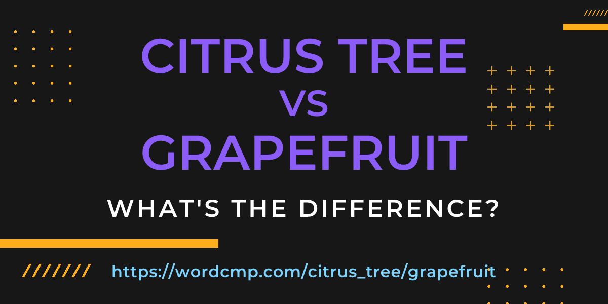 Difference between citrus tree and grapefruit