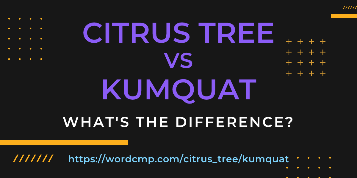 Difference between citrus tree and kumquat