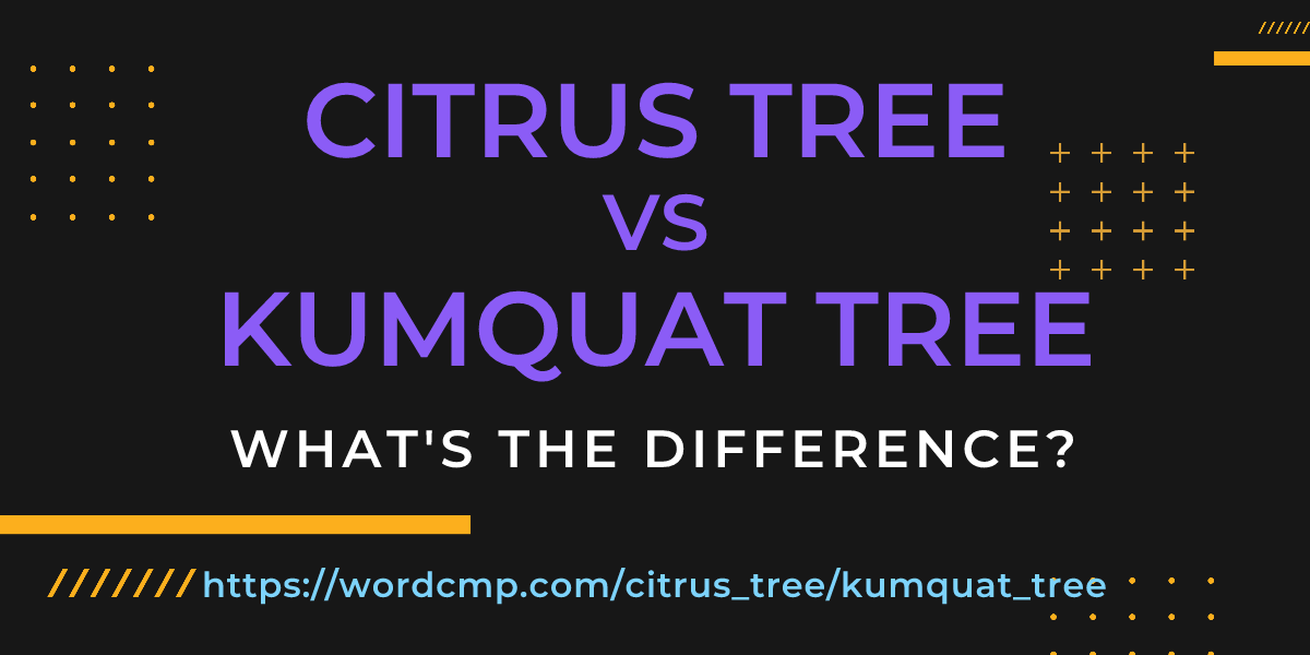 Difference between citrus tree and kumquat tree