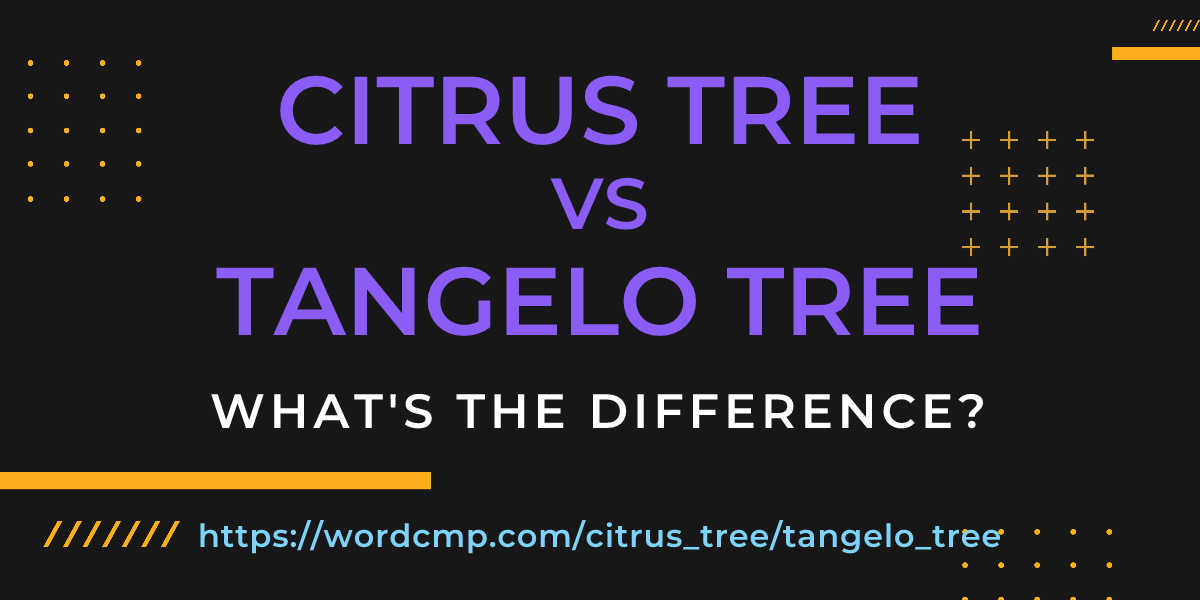 Difference between citrus tree and tangelo tree
