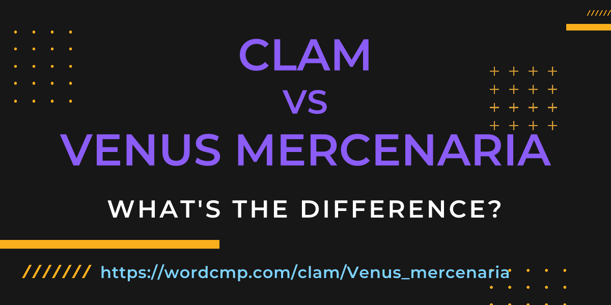 Difference between clam and Venus mercenaria