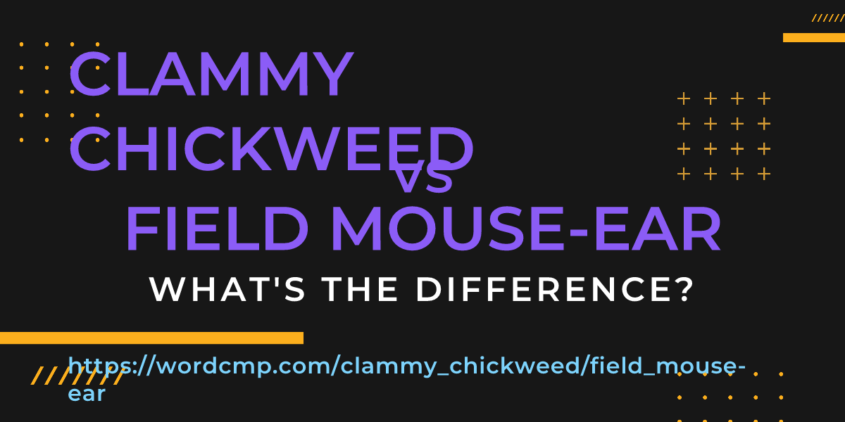 Difference between clammy chickweed and field mouse-ear