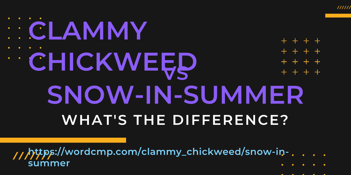 Difference between clammy chickweed and snow-in-summer