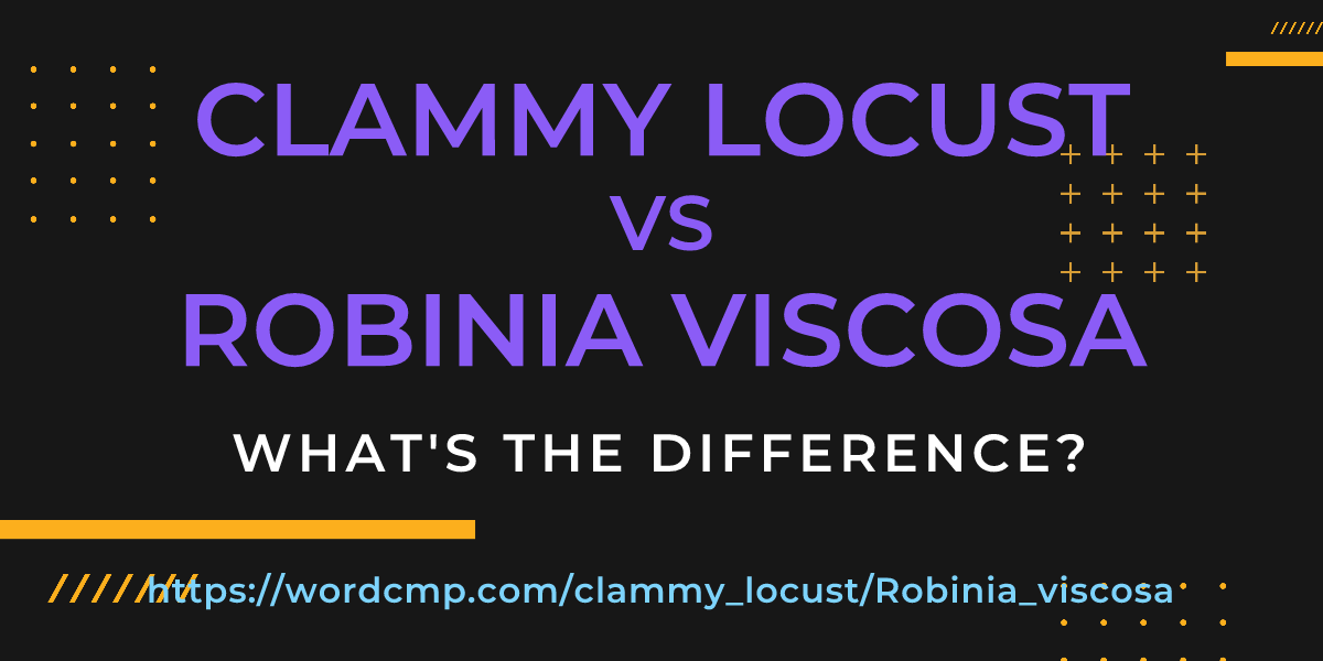 Difference between clammy locust and Robinia viscosa