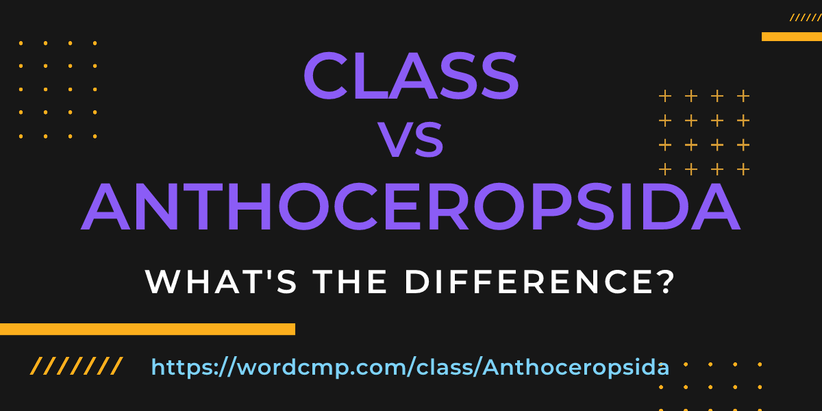 Difference between class and Anthoceropsida