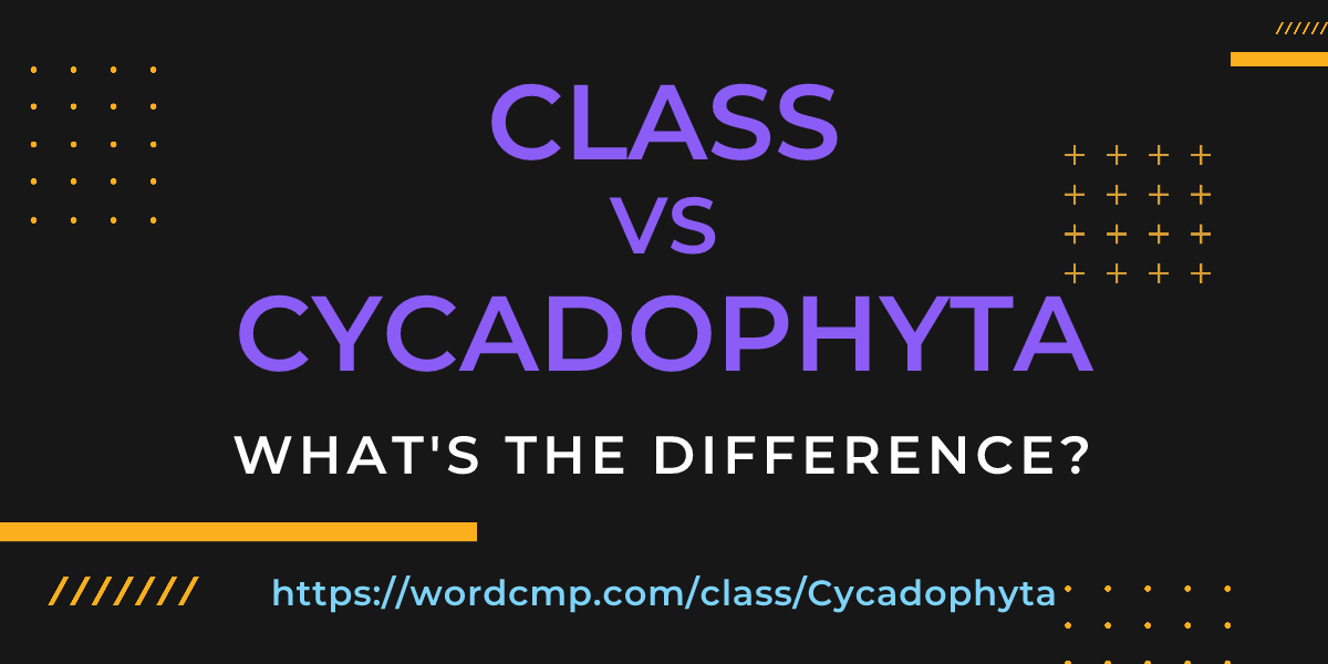 Difference between class and Cycadophyta