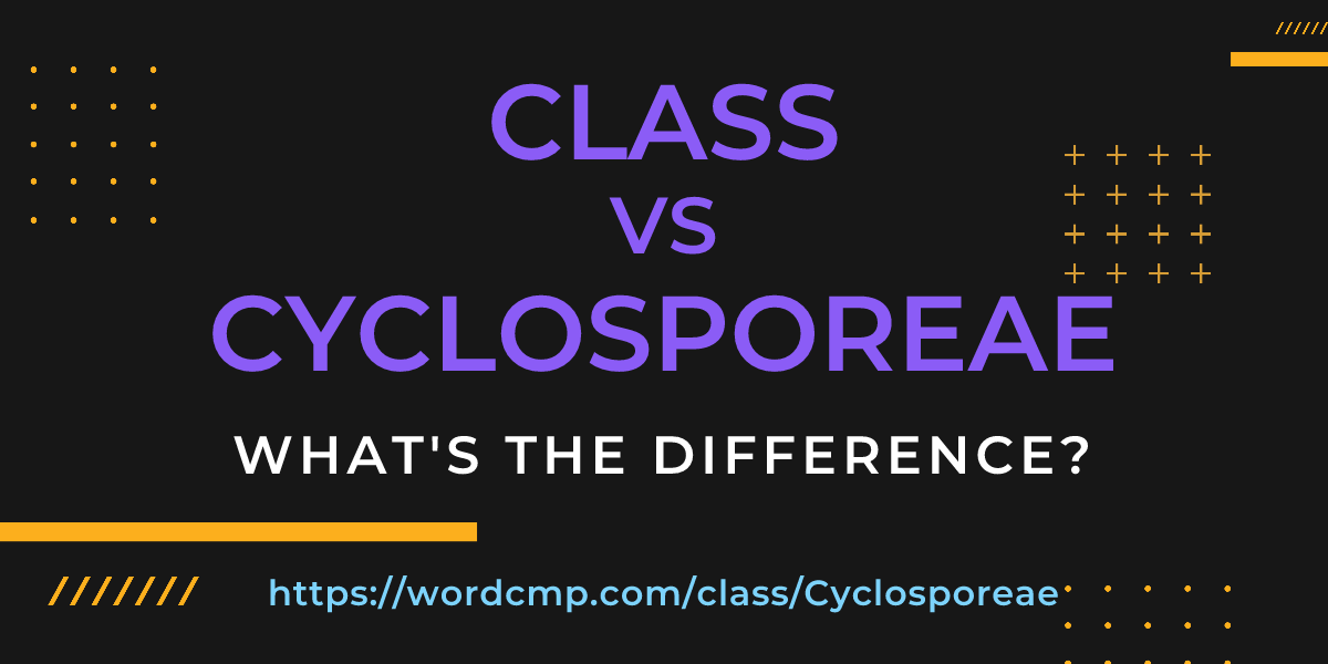 Difference between class and Cyclosporeae