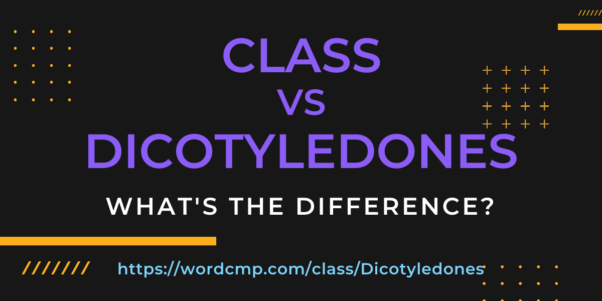 Difference between class and Dicotyledones