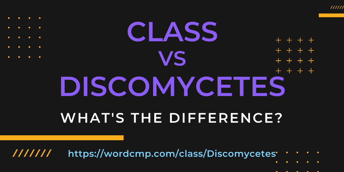 Difference between class and Discomycetes