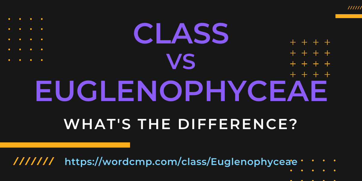 Difference between class and Euglenophyceae