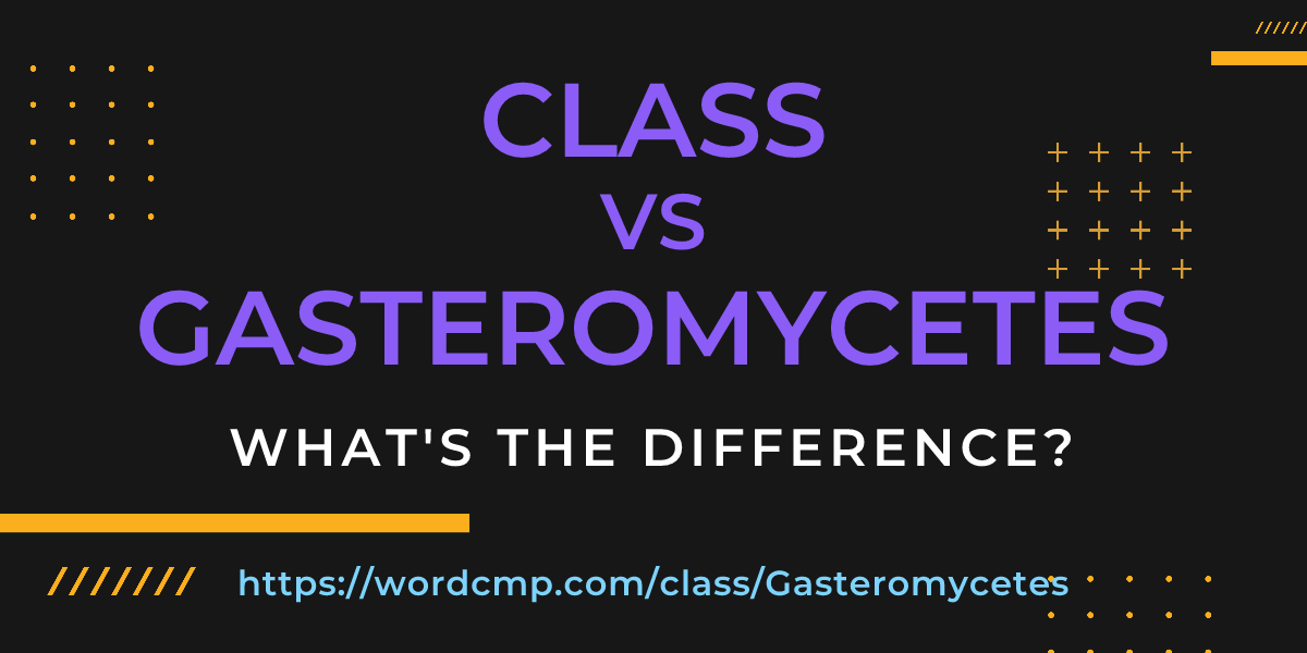 Difference between class and Gasteromycetes
