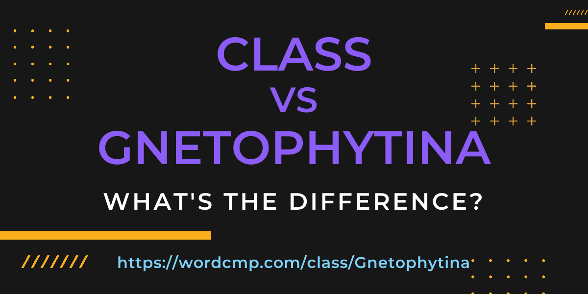 Difference between class and Gnetophytina